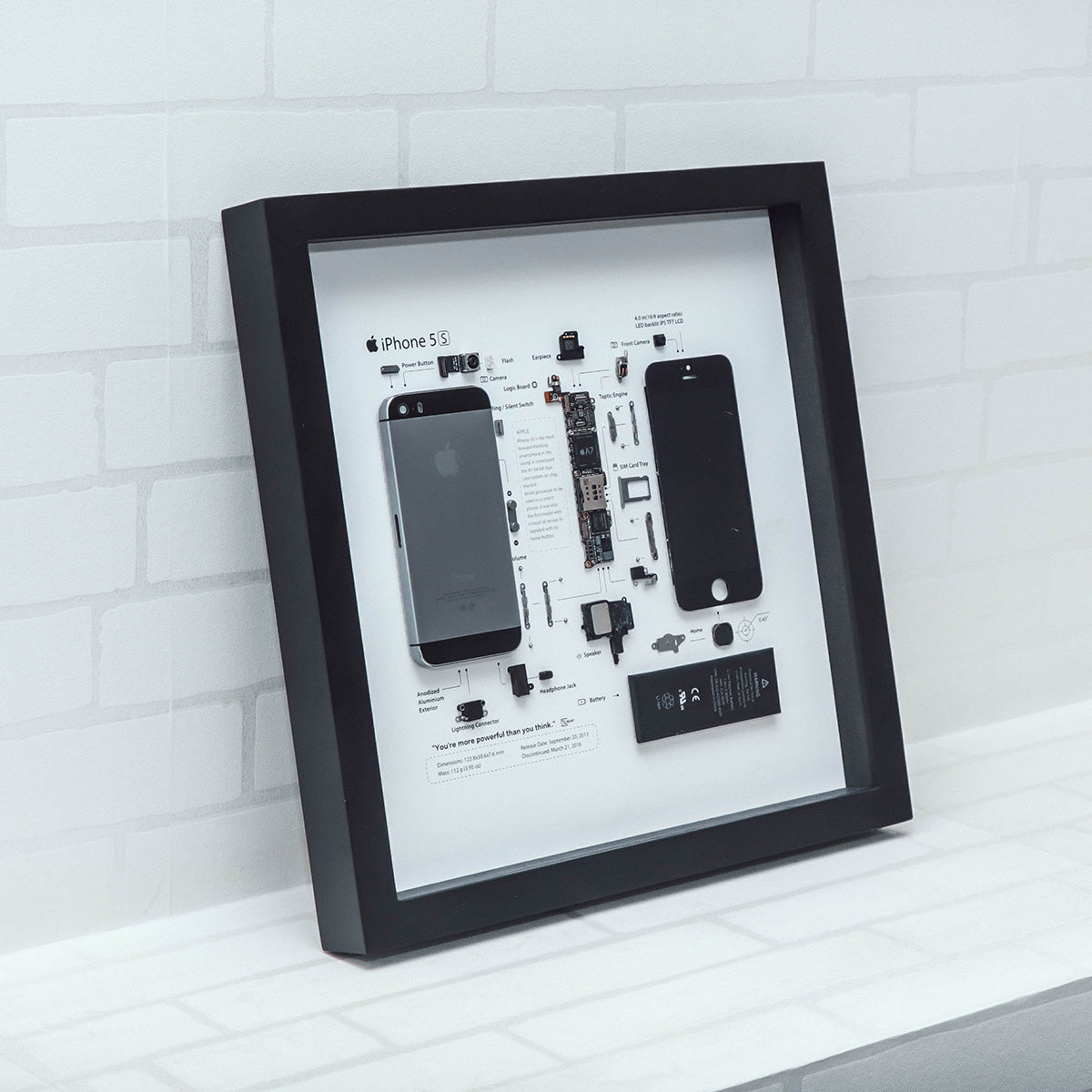 XreArt iPhone 5S Frame